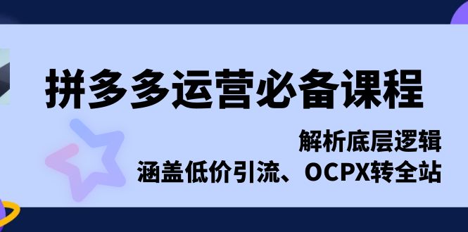 拼多多运营必备课程,解析底层逻辑,涵盖低价引流、OCPX转全站-副业团