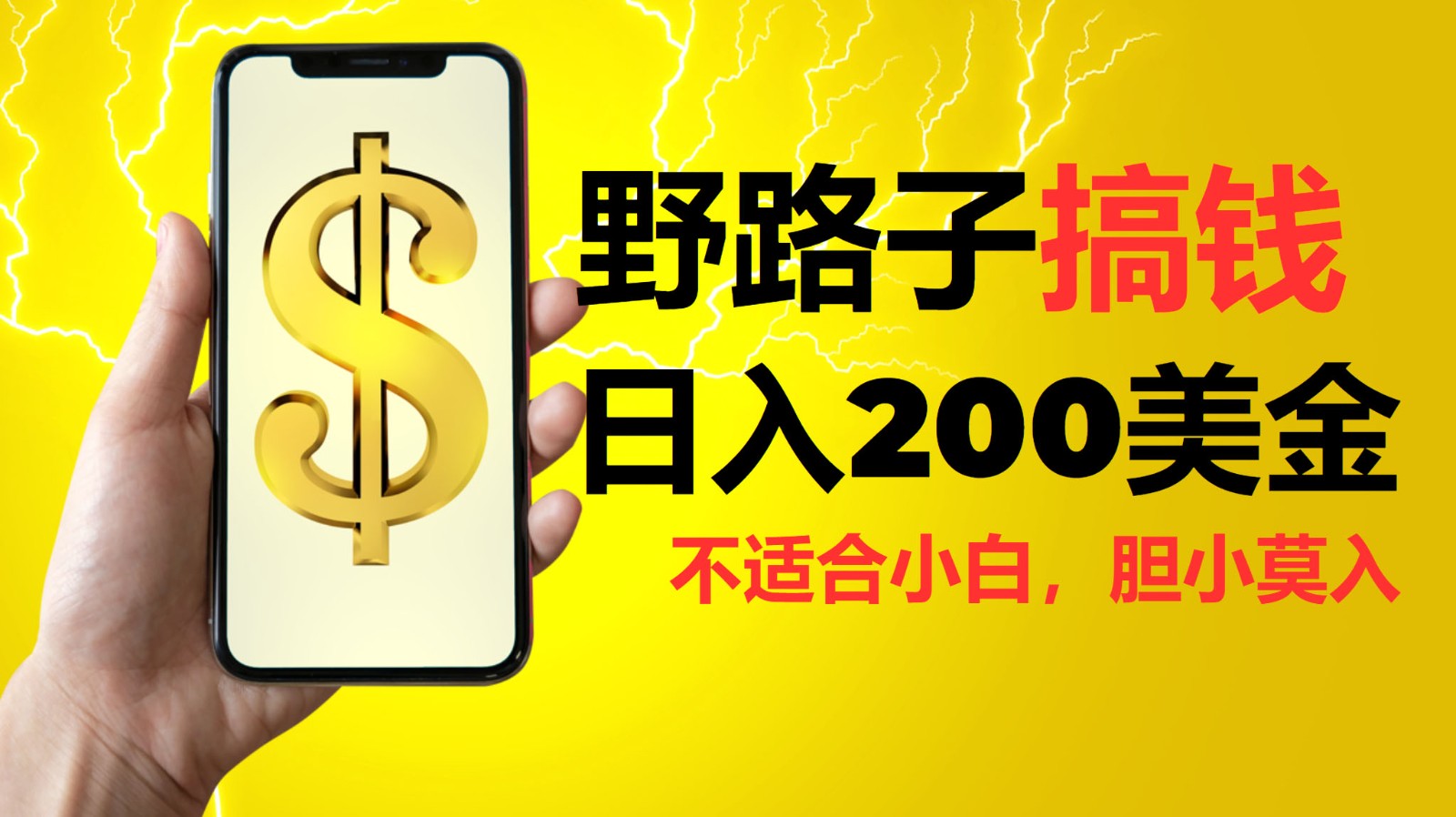 挂机野路子搞钱,日入200美金,路子很野,小白莫入-副业团