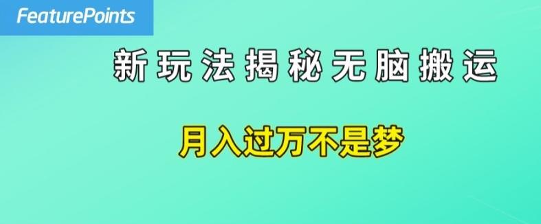 简单操作,每天50美元收入,搬运就是赚钱的秘诀【揭秘】-副业团