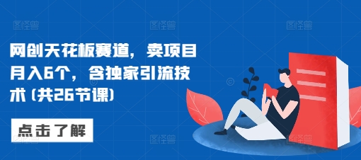 网创天花板赛道,卖项目月入6个,含独家引流技术(共26节课)-副业团