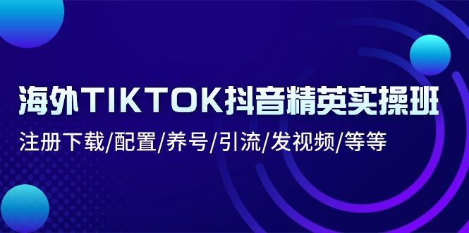 海外TIKTOK抖音精英实操班:注册下载/配置/养号/引流/发视频/等等-副业团