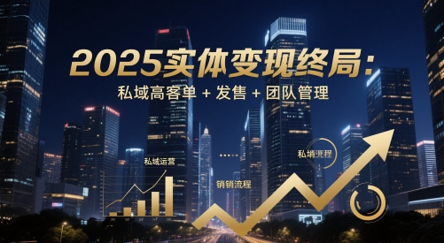 2025实体变现终局:私域高客单+发售+团队管理-副业团