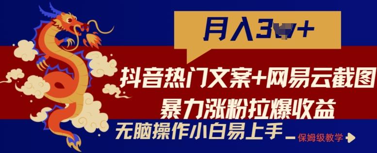 抖音热门文案+网易云截图暴力涨粉拉爆收益玩法,小白无脑操作,简单易上手【揭秘】-副业团