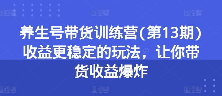养生号带货训练营(第13期)收益更稳定的玩法,让你带货收益爆炸-副业团