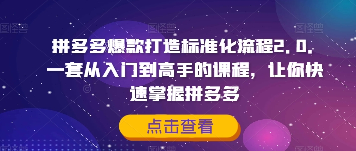 拼多多爆款打造标准化流程2.0,一套从入门到高手的课程,让你快速掌握拼多多