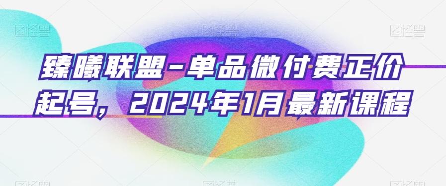 臻曦联盟-单品微付费正价起号,2024年1月最新课程-副业团