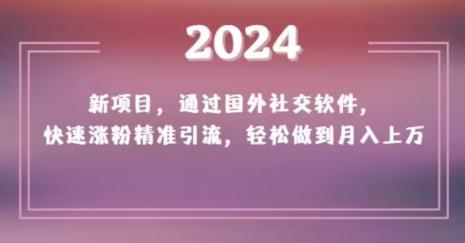 2024新项目,通过国外社交软件,快速涨粉精准引流,轻松做到月入上万【揭秘】-副业团