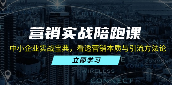 营销实战陪跑课:中小企业实战宝典,看透营销本质与引流方法论-副业团
