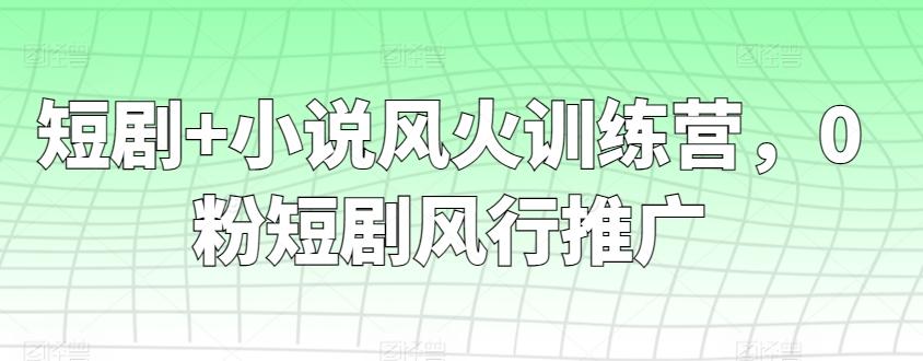 短剧+小说风火训练营,0粉短剧风行推广-副业团