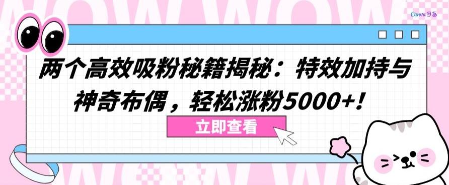 两个高效吸粉秘籍揭秘:特效加持与神奇布偶,轻松涨粉5000+【揭秘】