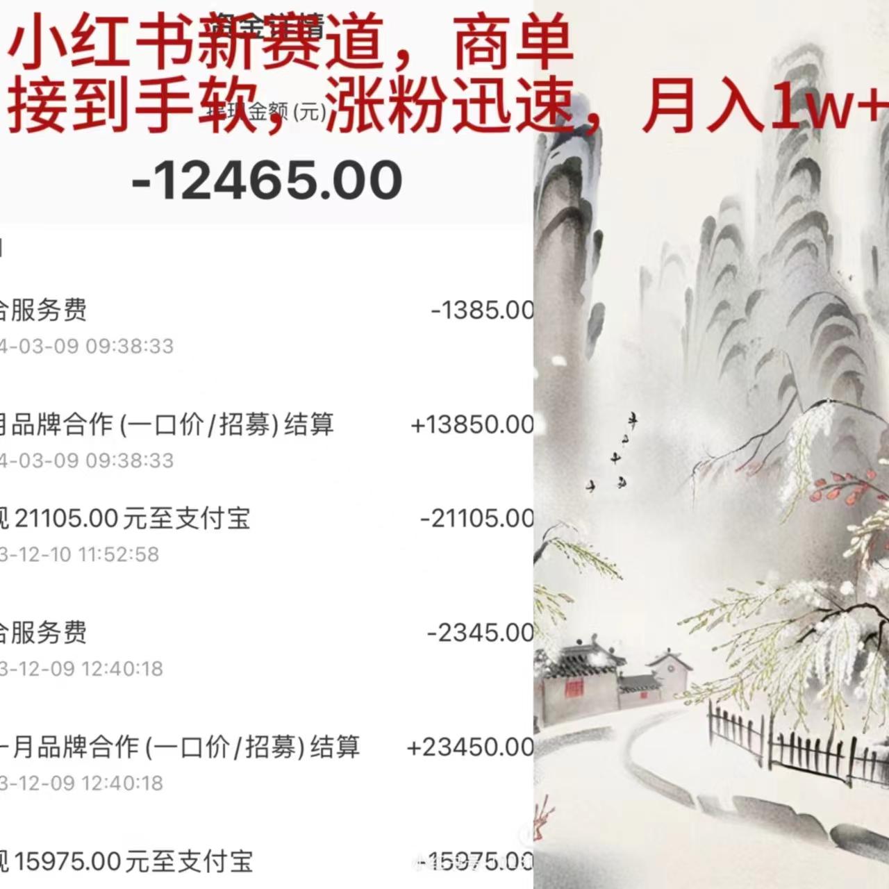 (9476期)小红书新赛道,商单接到手软,涨粉迅速,月入1w+-副业团