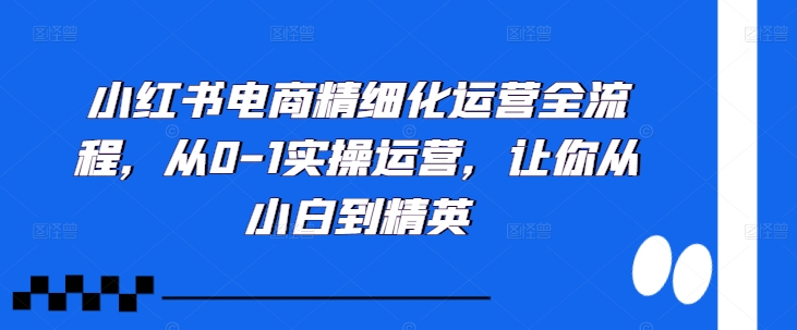 小红书电商精细化运营全流程,从0-1实操运营,让你从小白到精英-副业团