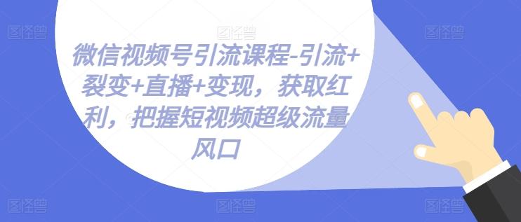 微信视频号引流课程-引流+裂变+直播+变现，获取红利，把握短视频超级流量风口-副业团