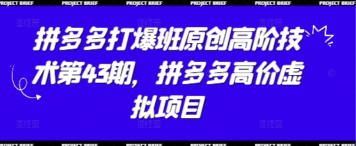 拼多多打爆班原创高阶技术第43期,拼多多高价虚拟项目-副业团