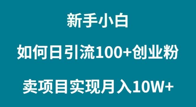 (9556期)新手小白如何通过卖项目实现月入10W+-副业团