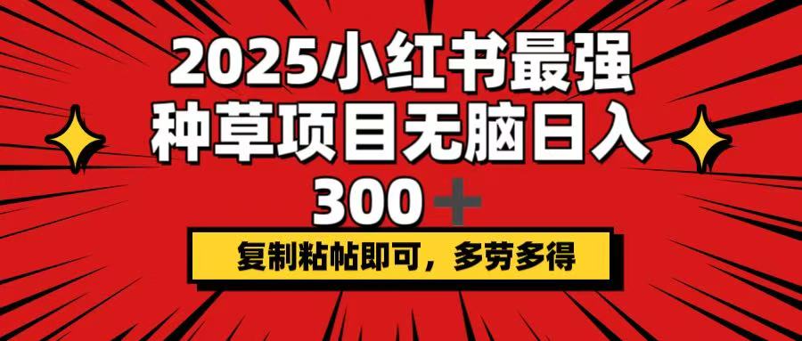 2025小红书最强种草项目,无脑日入300+,复制粘帖即可,多劳多得-副业团