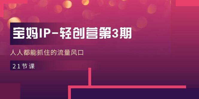 宝妈IP-轻创营第3期,人人都能抓住的流量风口(21节课-副业团