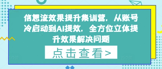 信息流效果提升集训营,从账号冷启动到AI提效,全方位立体提升效果解决问题-副业团