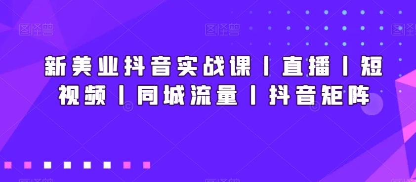 新美业抖音实战课丨直播丨短视频丨同城流量丨抖音矩阵-副业团