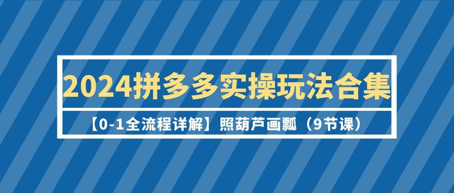 (9559期)2024拼多多实操玩法合集【0-1全流程详解】照葫芦画瓢(9节课)-副业团