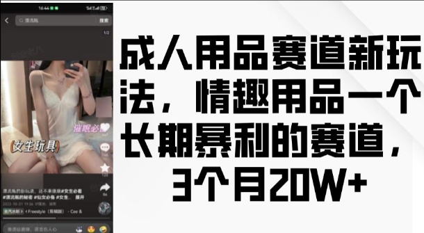 成人用品赛道新玩法，情趣用品一个长期暴利的赛道，3个月收益20个【揭秘】-副业团