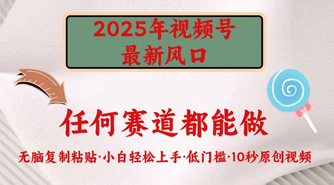 2025年视频号新风口,低门槛只需要无脑执行-副业团