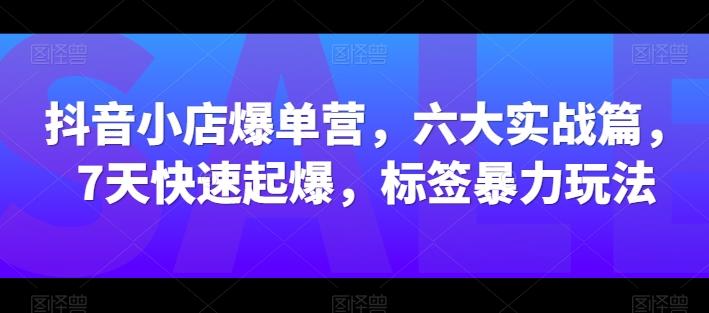 抖音小店爆单营，六大实战篇，7天快速起爆，标签暴力玩法-副业团