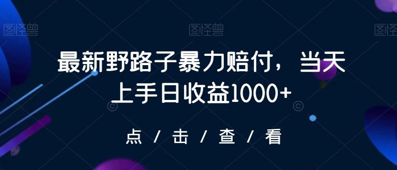 最新野路子暴力赔付,当天上手日收益1000+【仅揭秘】-副业团