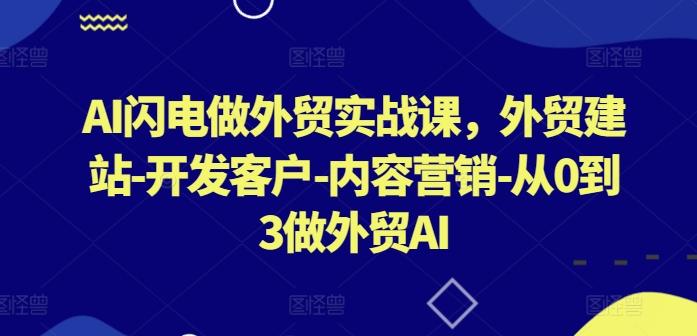 AI闪电做外贸实战课，​外贸建站-开发客户-内容营销-从0到3做外贸AI-副业团