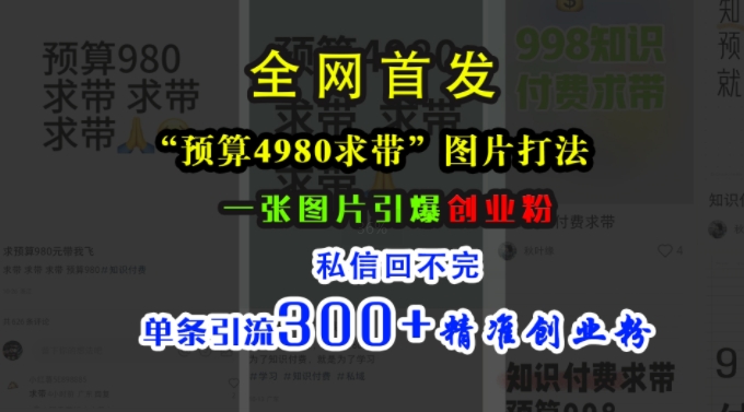 小红书“预算4980带我飞”图片打法,一张图片引爆创业粉,私信回不完,单条引流300+精准创业粉-副业团