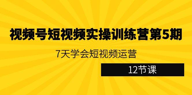 视频号短视频实操训练营第5期:7天学会短视频运营(12节课)-副业团