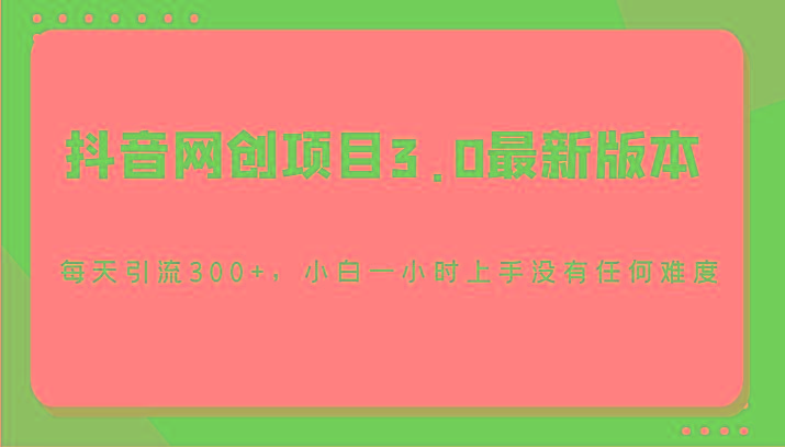 抖音网创项目3.0最新版本,每天引流300+,小白一小时上手没有任何难度-副业团