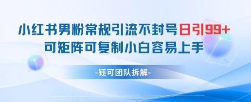 小红书男粉常规引流不封号日引99+变现简单 可矩阵可复制小白容易上手-副业团