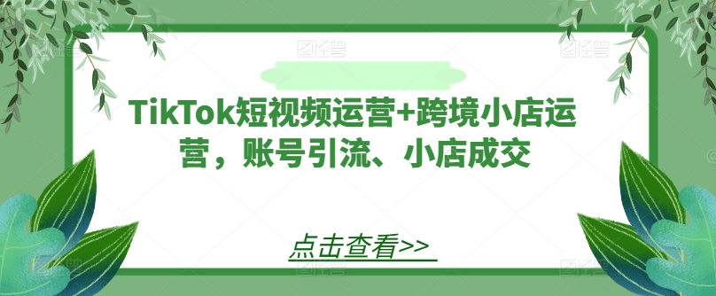 TikTok短视频运营+跨境小店运营，账号引流、小店成交-副业团