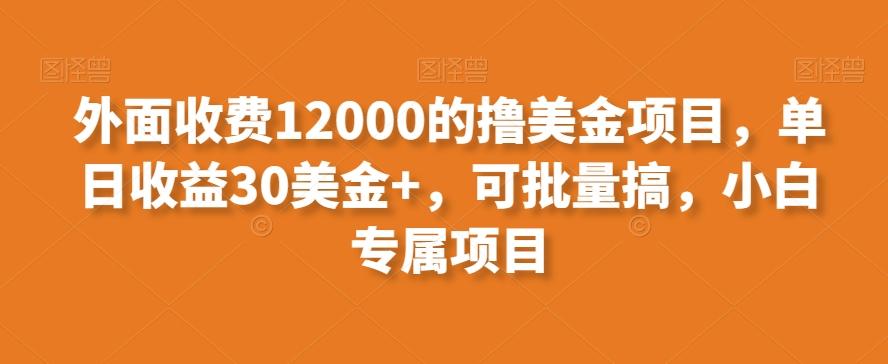 外面收费12000的撸美金项目,单日收益30美金+,可批量搞,小白专属项目-副业团