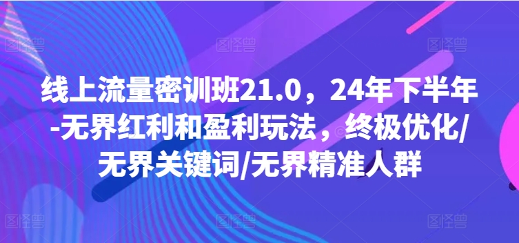 线上流量密训班21.0,24年下半年-无界红利和盈利玩法,终极优化/无界关键词/无界精准人群-副业团