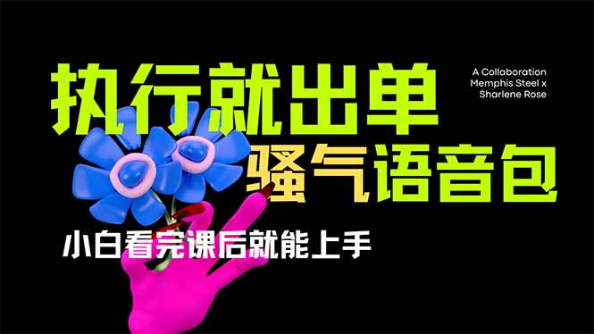 爆火全网的开车导航骚气语音包,只要执行就出单,小白看完课程就能实操...-副业团