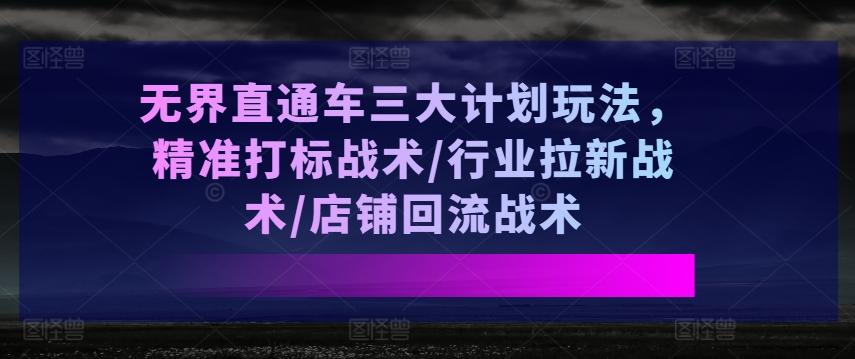 无界直通车三大计划玩法,精准打标战术/行业拉新战术/店铺回流战术-副业团