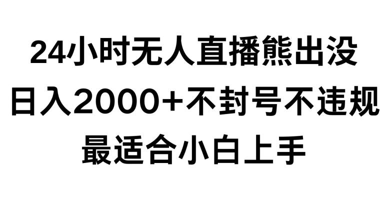 快手24小时无人直播熊出没,不封直播间,不违规,日入2000+,最适合小白上手,保姆式教学【揭秘】-副业团