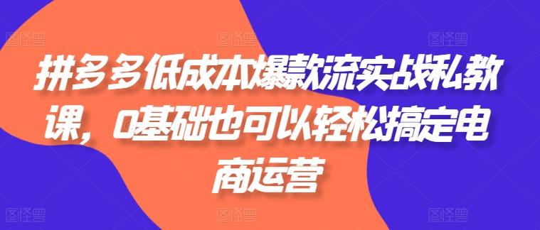 拼多多低成本爆款流实战私教课,0基础也可以轻松搞定电商运营-副业团