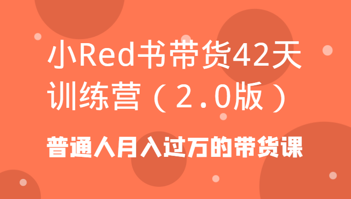 小Red书带货42天训练营(2.0版)普通人月入过万的带货课-副业团