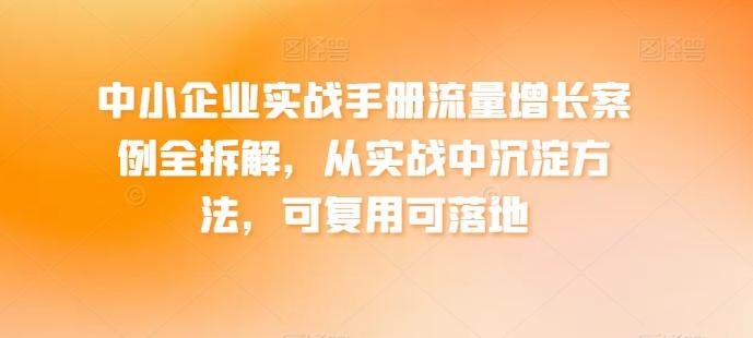 中小企业实战手册流量增长案例全拆解,从实战中沉淀方法,可复用可落地-副业团