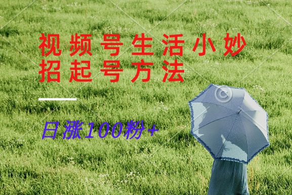 视频号生活小妙招分享赛道, 起号涨粉新方法,日涨100粉-副业团