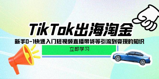 (10035期)TikTok-出海淘金，新手0-1快速入门短视频直播带货等引流到变现的知识-副业团